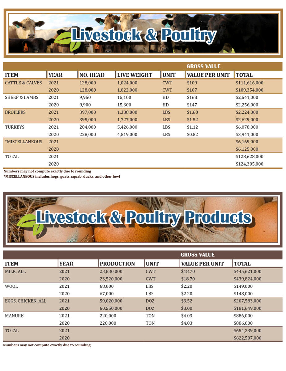 Women in Agriculture
